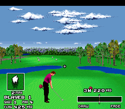 World Masters Golf (Europe) In game screenshot